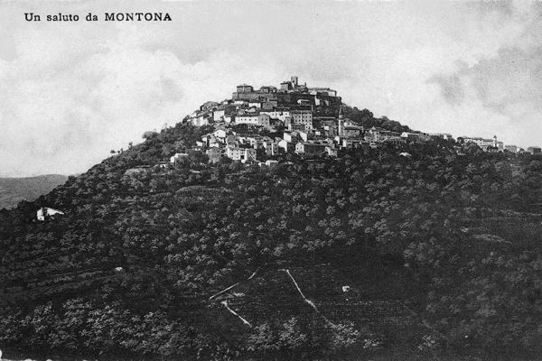 montona-001D8AA9260-BFA2-C7C9-987A-5E6A2C909986.jpg